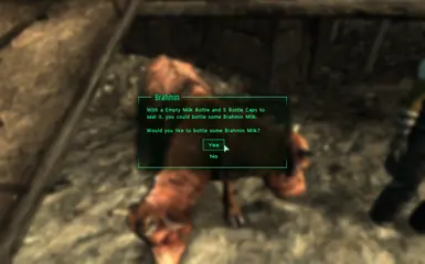Dialog