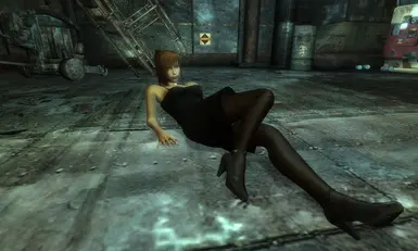 Stockings Pack for type3 and typeV body