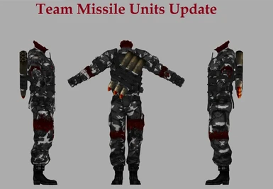 Team Missile Unit Update