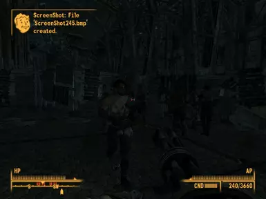 Raiders at night