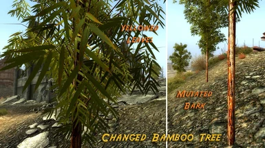 Updated Bamboo