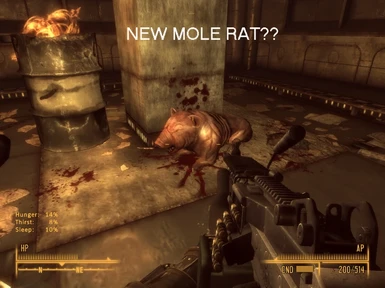 a new mole rat