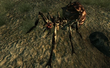 Ferocious Spider Ant