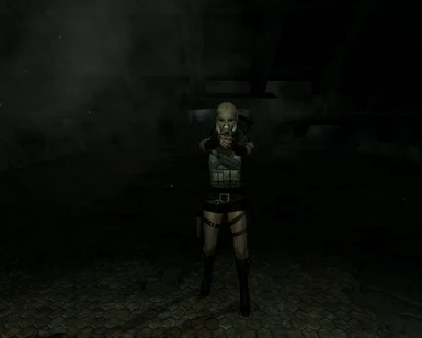 fallout 3 animated prostitution