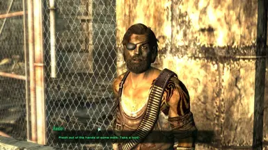 Barter with Raiders at Fallout 3 Nexus - Mods and community