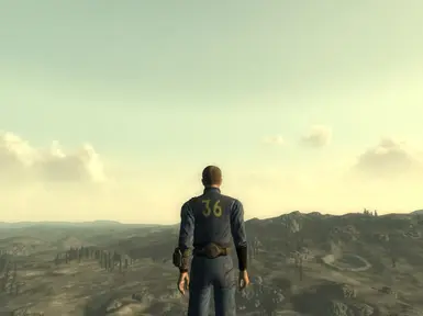 Vault 36 Jumpsuit