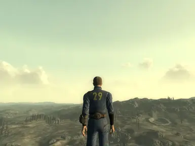 Vault 29 Jumpsuit