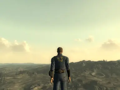 Vault 43 Jumpsuit