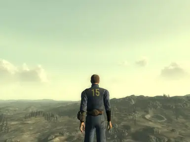 Vault 15 Jumpsuit