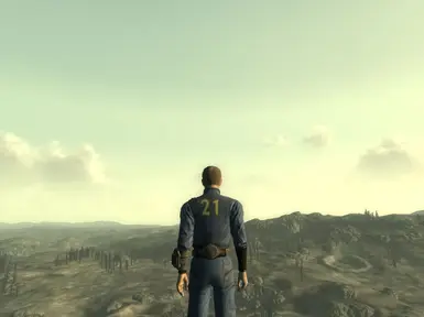 Vault 21 Jumpsuit