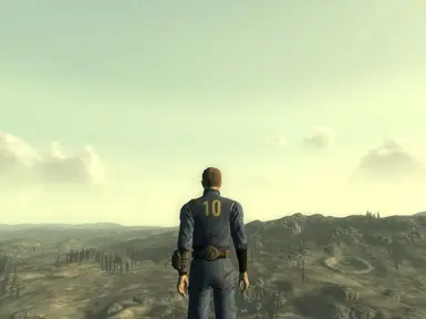 Vault 10 Jumpsuit