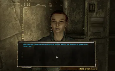 darnified ui fallout 3 nexus mod manager