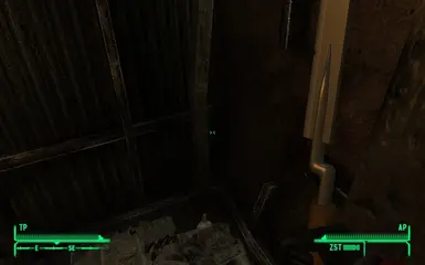 Bayonet 1st Person