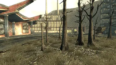 Military Camp