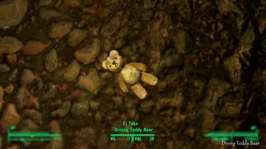 Diving Teddy Bear