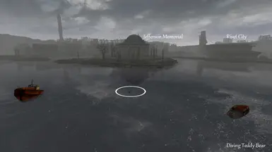 Diving Teddy Bear