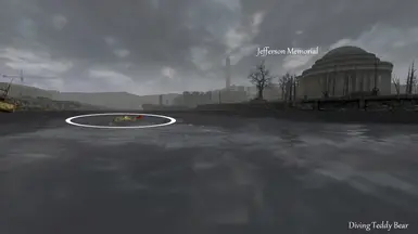 Diving Teddy Bear