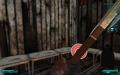 1st Person View