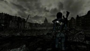 beauty of wasteland