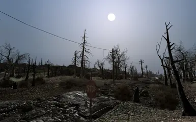 Sunny Day in the Wasteland