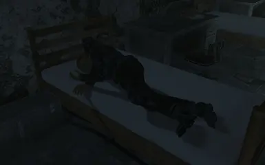 Sleeping Knights Now have recon armour rather than wasteland rags