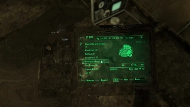fallout 3 nexus owned