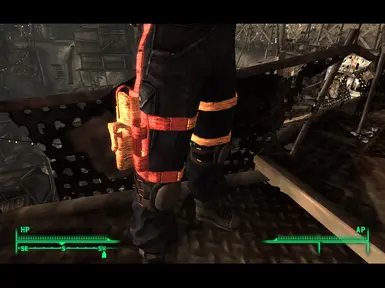 Holster