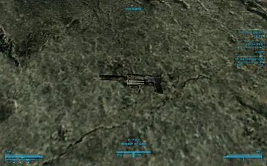 BoG on the Floor