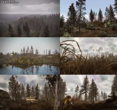 the forest mods nexus mods