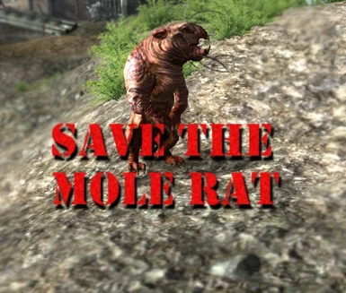 Save The Mole Rat
