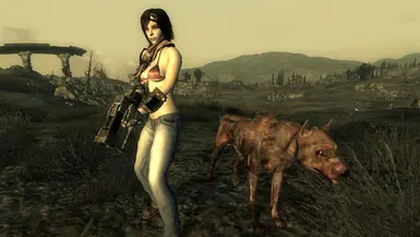 can dogmeat die fallout 3