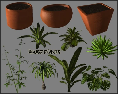 Nobiax02 Plants