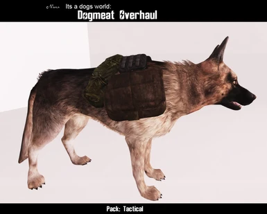 fallout 3 dogmeat died
