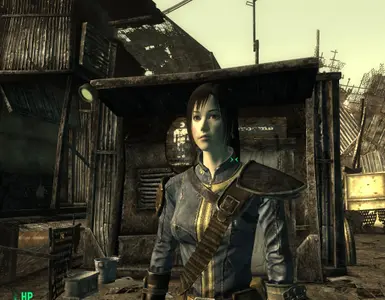 Rin - Female Asian Face Version 2b at Fallout 3 Nexus - Mods and community