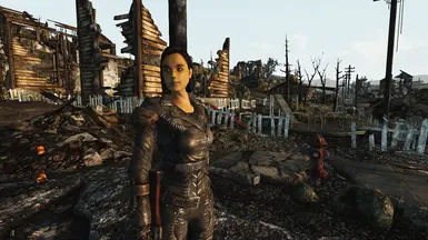 fallout 3 hd mods