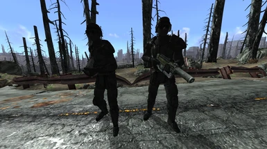 Light Infantry if New Vegas Weapons and the NVW compatibility patch is installed.