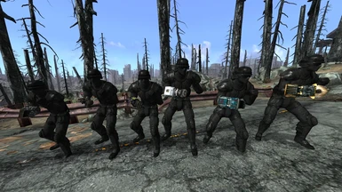 Light Melee Infantry if New Vegas Weapons and the NVW compatibility patch is installed.