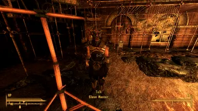 Marked Beast Face Helmet