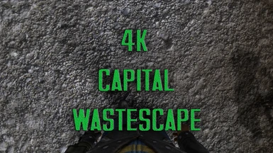 4K Capital Wastescape