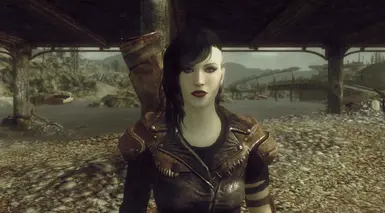 Mannequin Race Companions FO3 at Fallout 3 Nexus - Mods and community