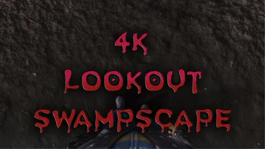 4K Lookout Swampscape