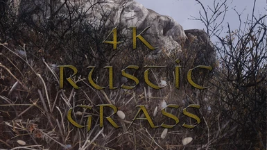 Rustic Grass - 4K Retexture