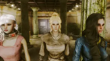 Mannequin Race Companions FO3 at Fallout 3 Nexus - Mods and community