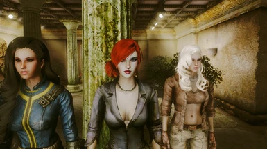 Mannequin Race Companions FO3 at Fallout 3 Nexus - Mods and community