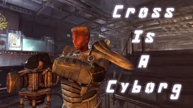 Cross Is A Cyborg at Fallout 3 Nexus - Mods and community