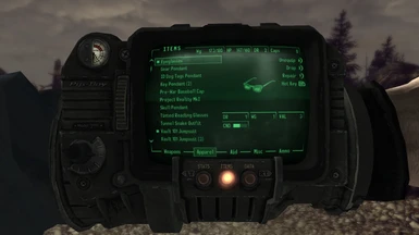 Put on some glasses and close the Pipboy.