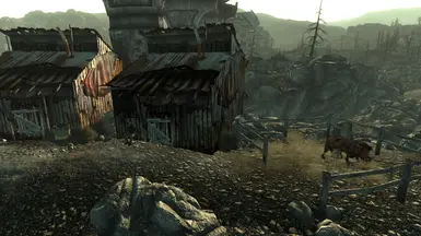 Girdershade Merchant