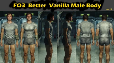 FO3 Better Vanilla Male Body