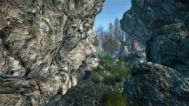 Path to new area