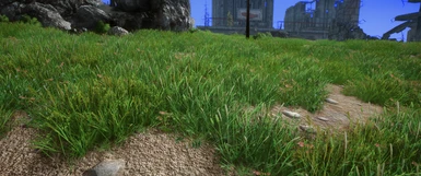 Photorealistic Grass